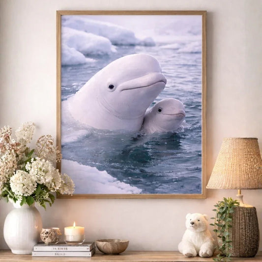 Beluga whales art print in arctic ocean, displayed in cozy home decor setting