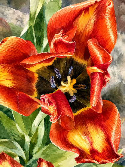 In Bloom